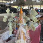 บุญสาทรเดือนสิบ