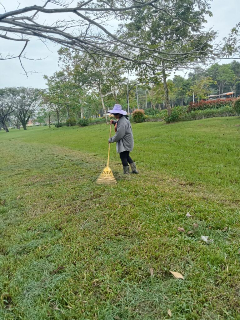 ตัดหญ้า