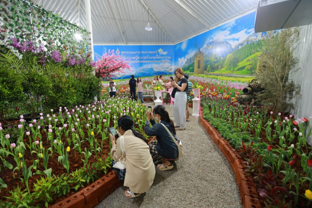 จัดดอกไม้เมืองหนาว