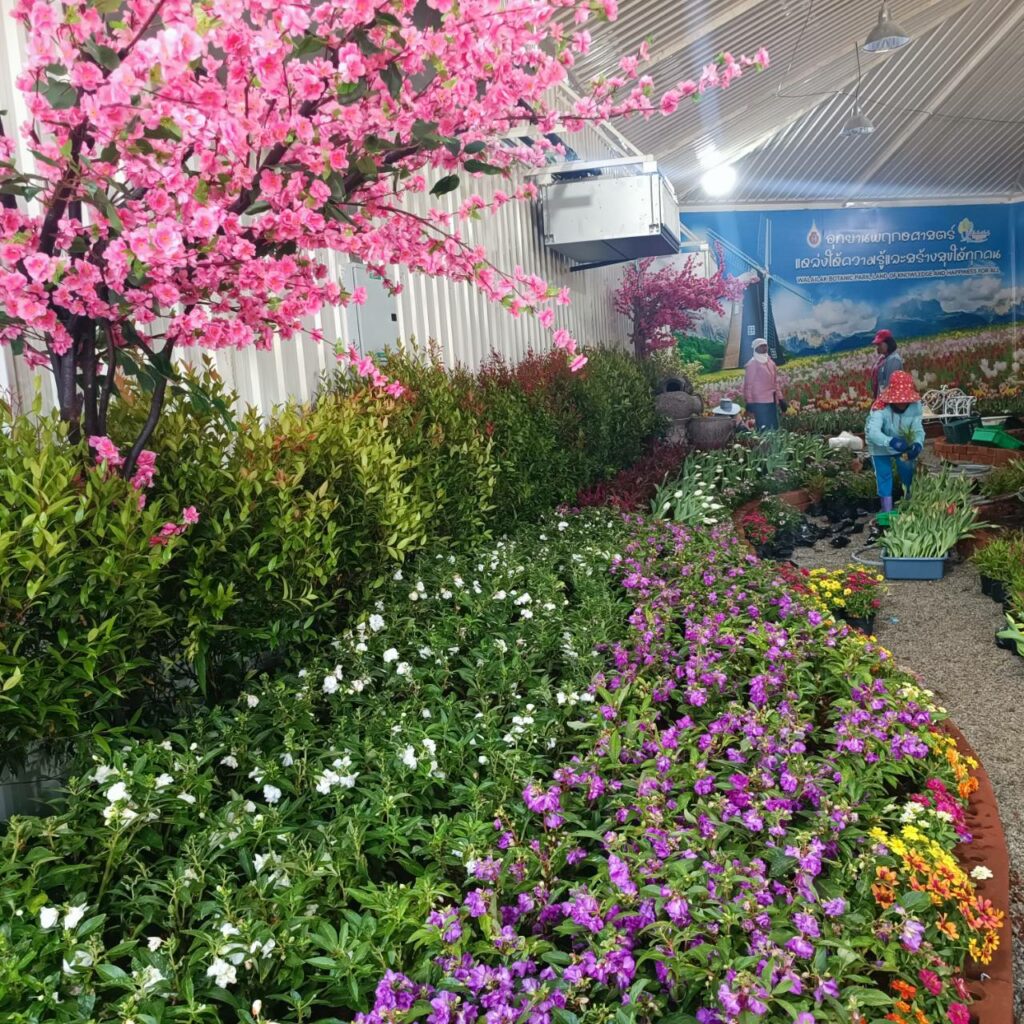 จัดดอกไม้เมืองหนาว