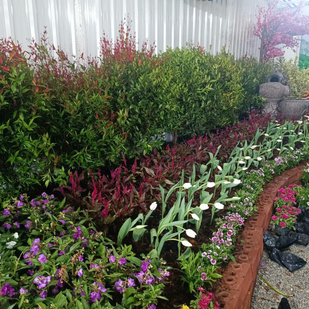 จัดดอกไม้เมืองหนาว