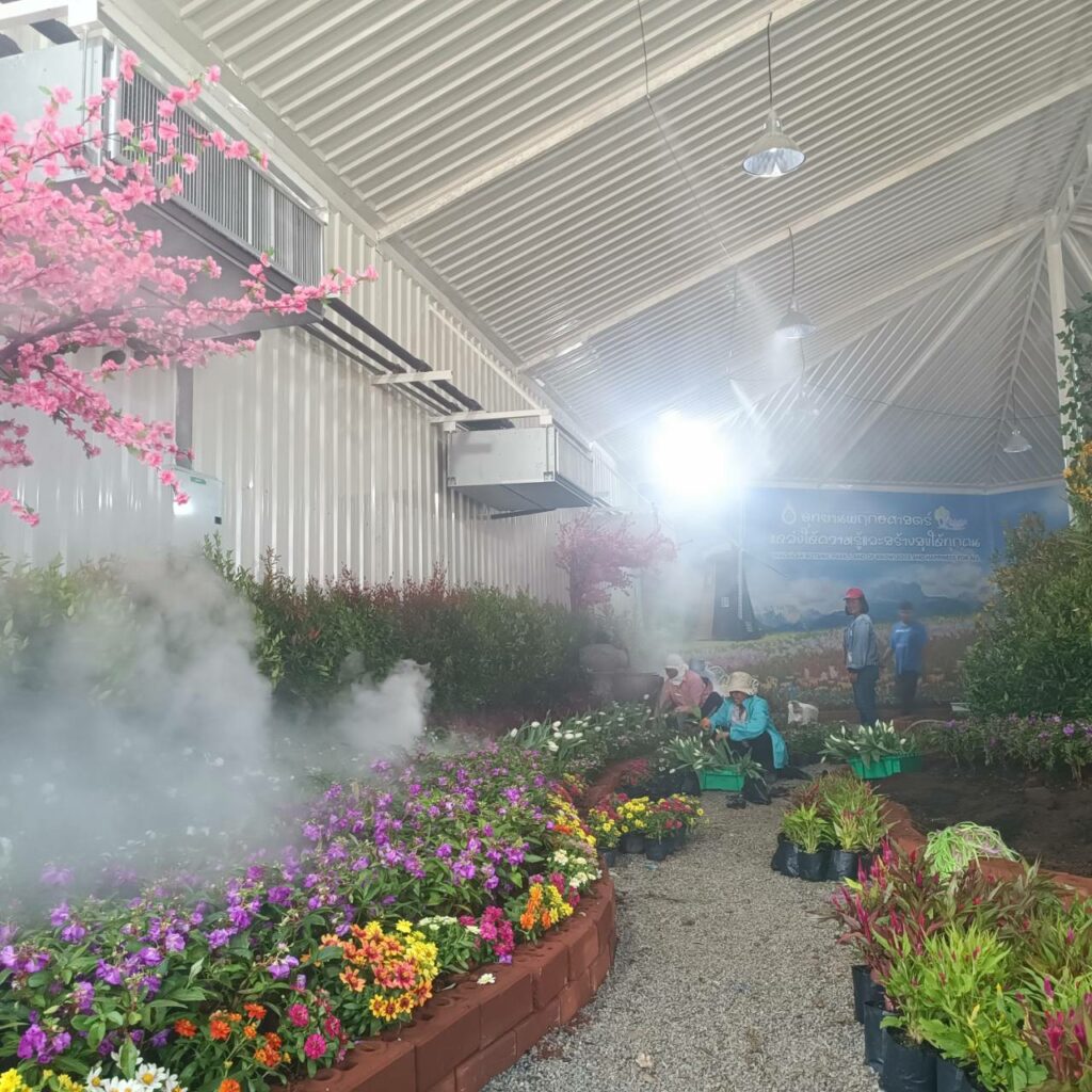 จัดดอกไม้เมืองหนาว