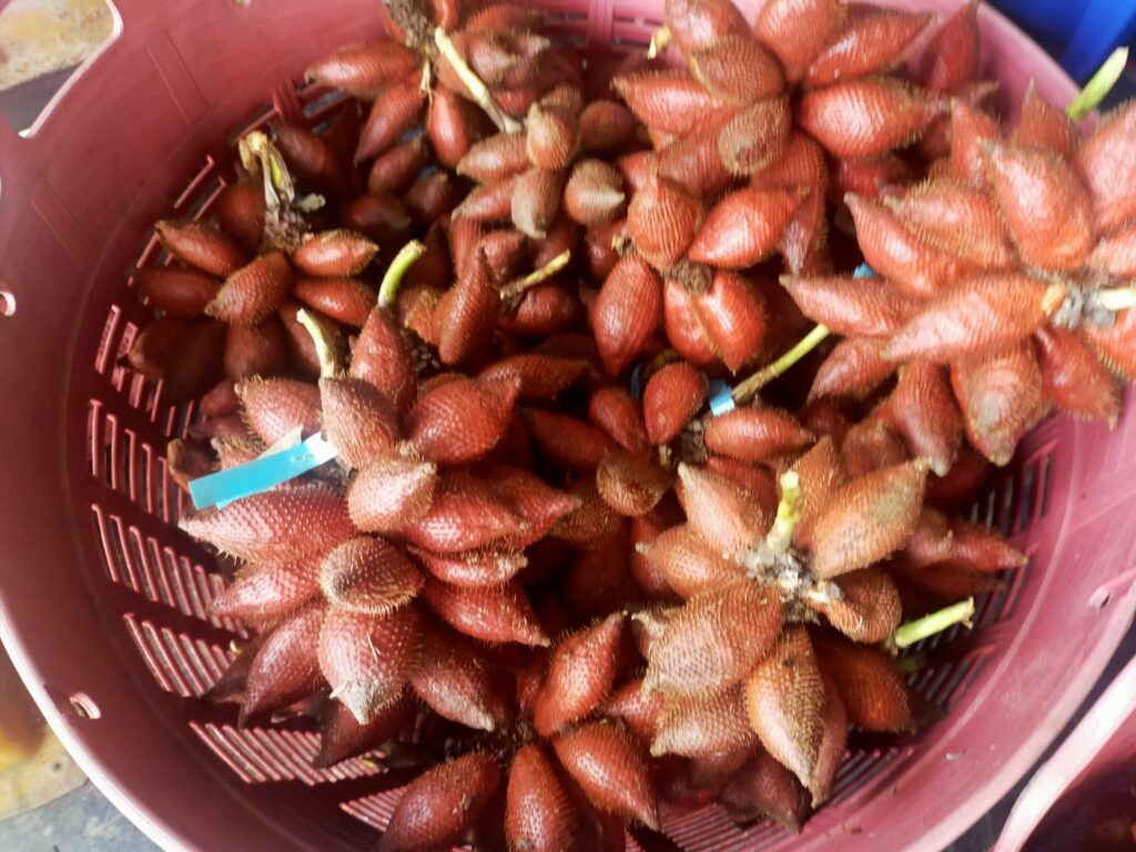 สละสุมาลี