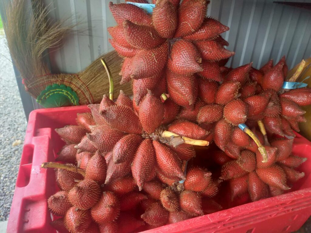 สละสุมาลี