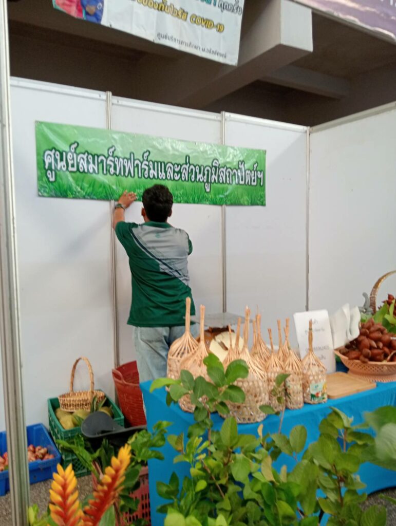 จัดแสดงสินค้า