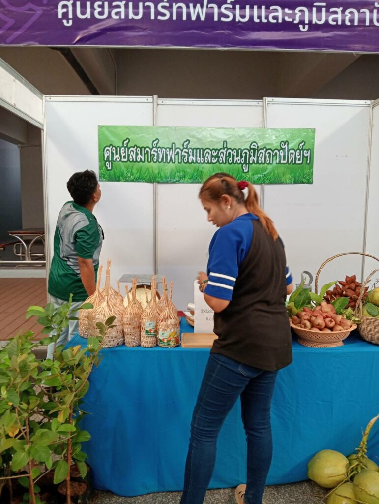 จัดแสดงสินค้า