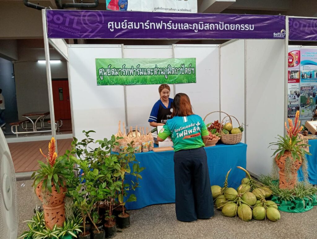 จัดแสดงสินค้า