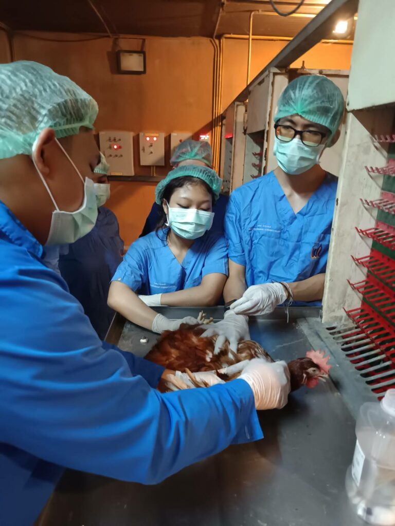 นศ.เรียนรู้เกี่ยวกับไก่ไข่