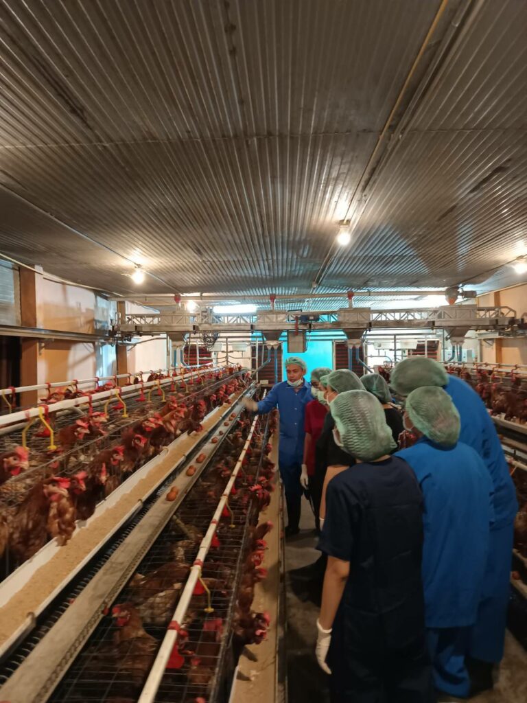 นศ.เรียนรู้เกี่ยวกับไก่ไข่