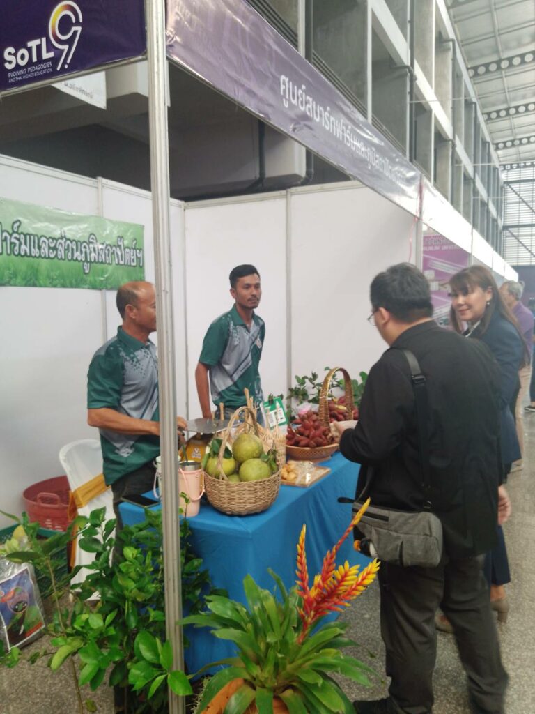 จัดแสดงสินค้า