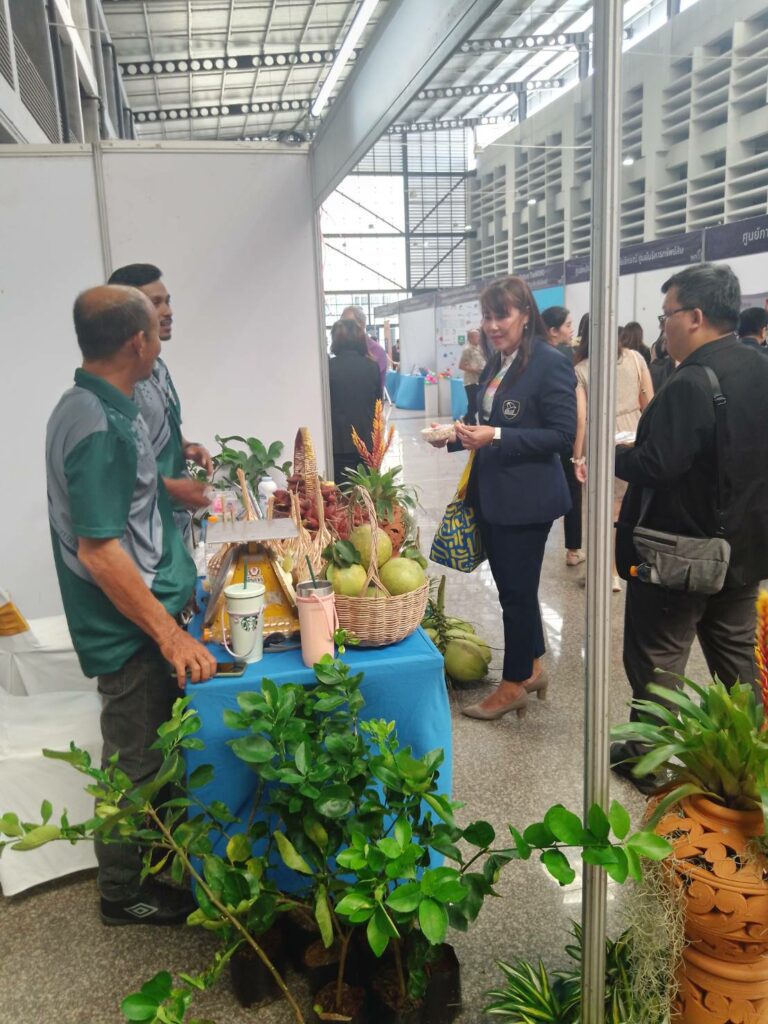 จัดแสดงสินค้า