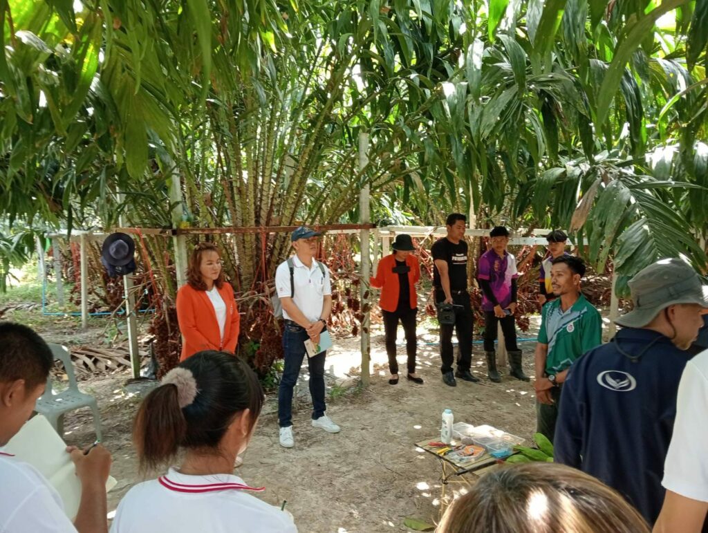 ศึกษาดูงาน