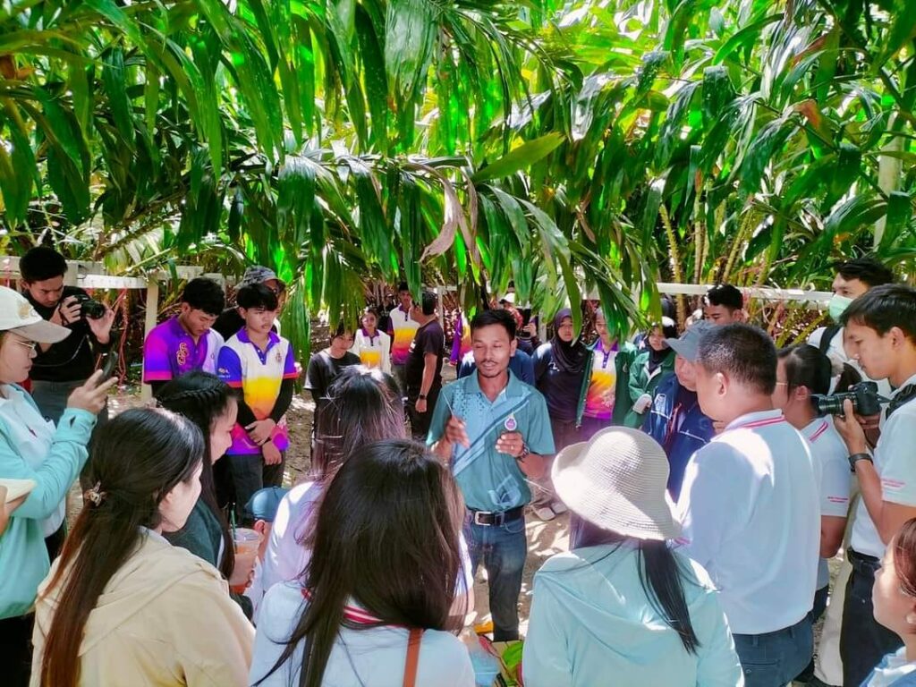 ศึกษาดูงาน