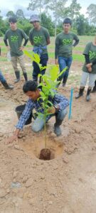 ปลูกต้นสละ