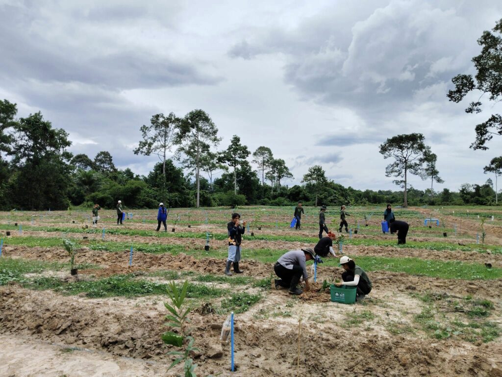 ปลูกต้นสละ