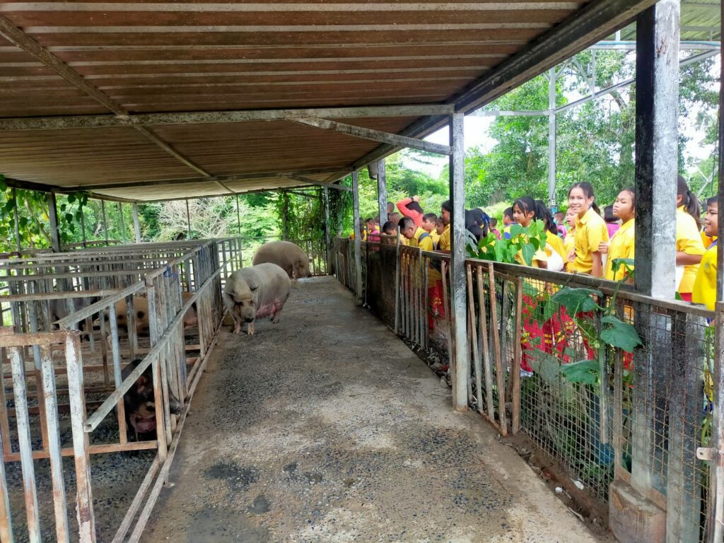 เรียนรู้ระบบขยะ