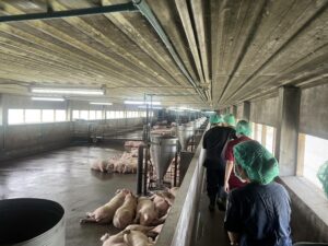 ศึกษาดูงาน