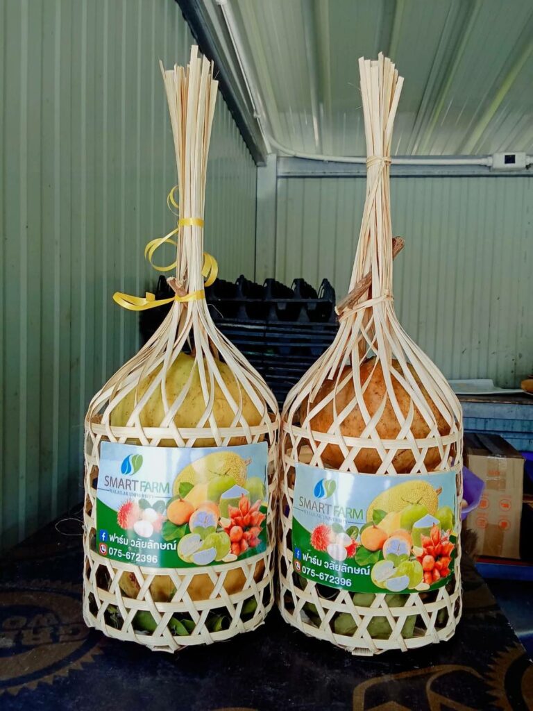 จัดกระเช้าผลไม้