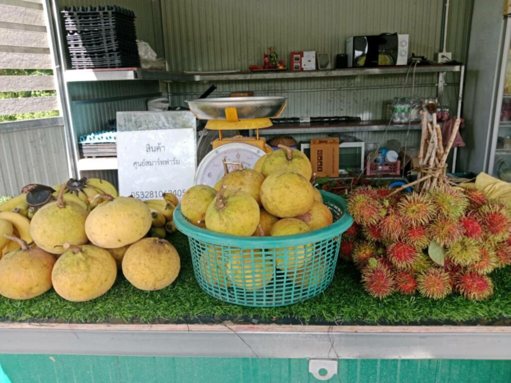 จำหน่ายผลไม้