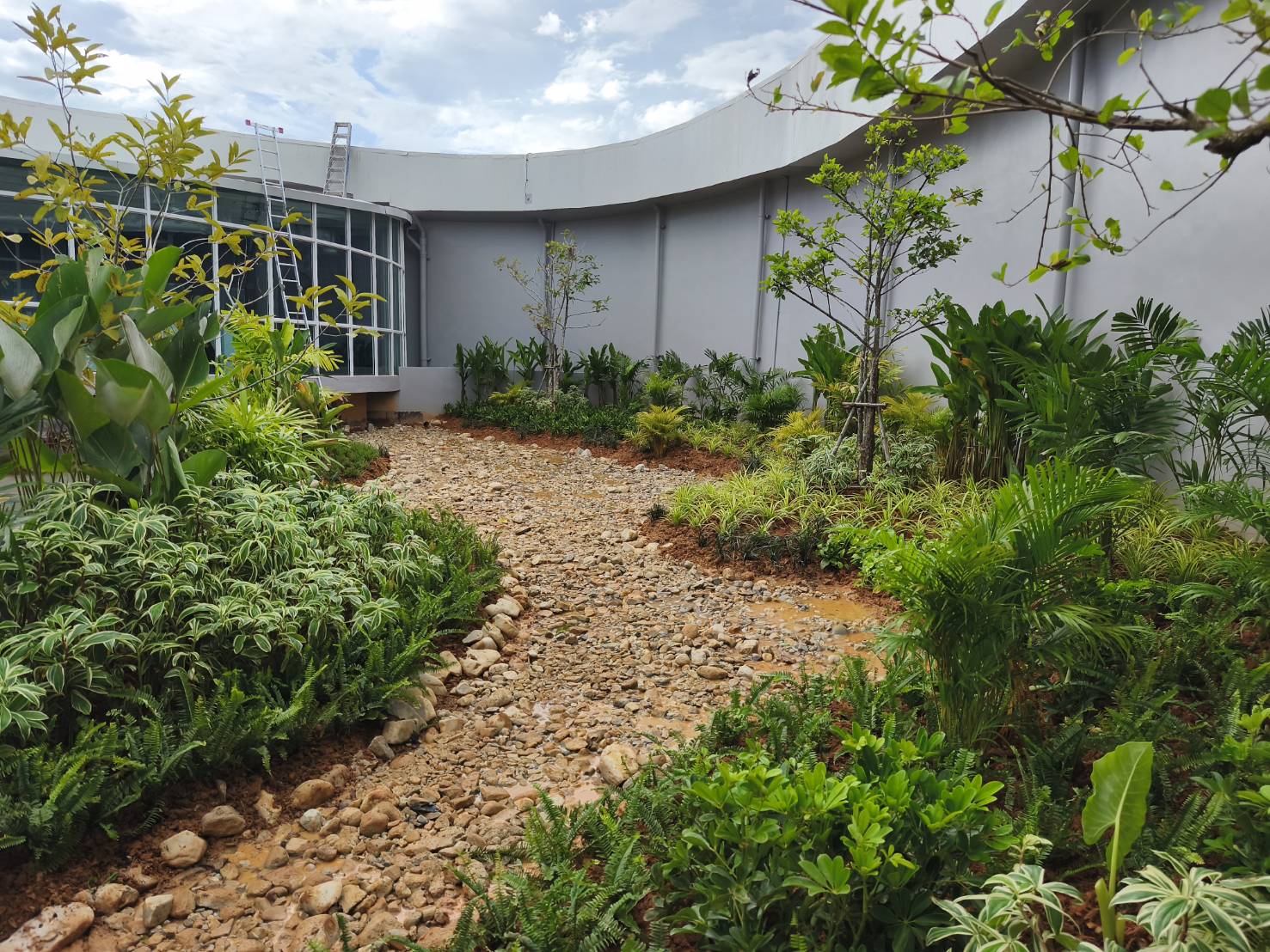 จัดภูมิทัศน์น้ำตก