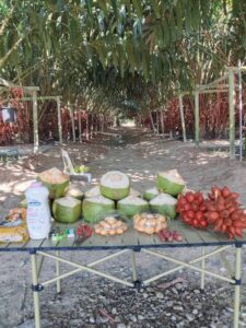 ศึกษาดูงาน