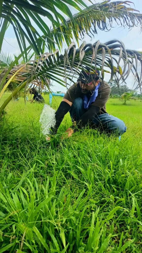 ศึกษาเรียนรู้