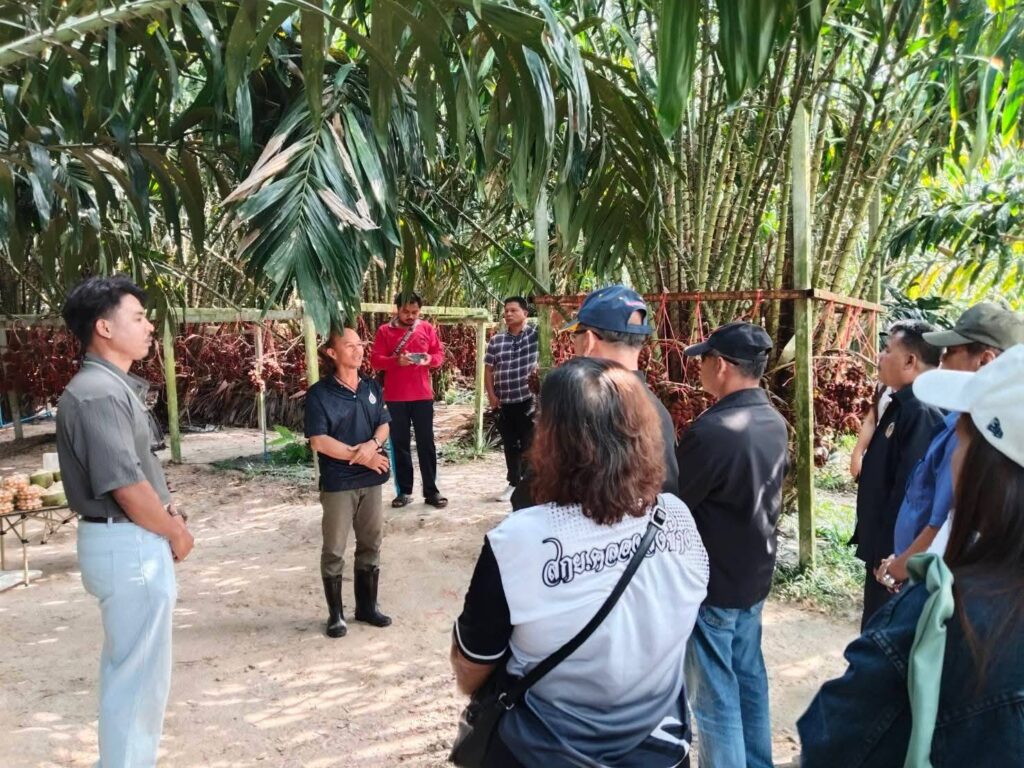 ศึกษาดูงาน