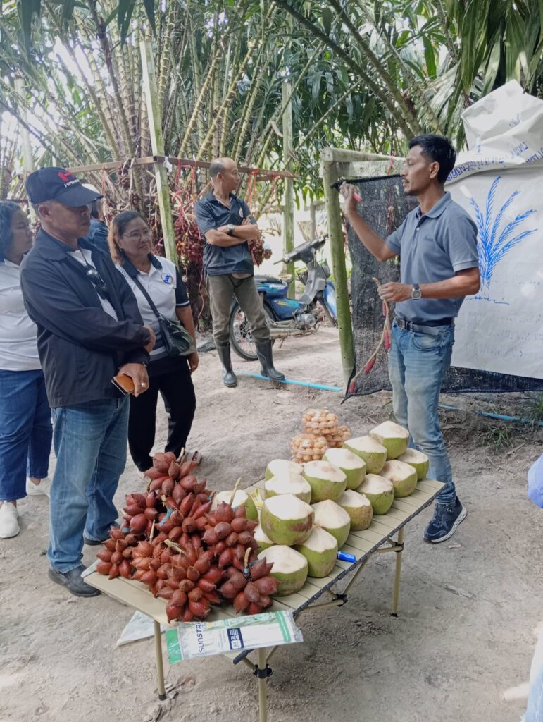 ศึกษาดูงาน